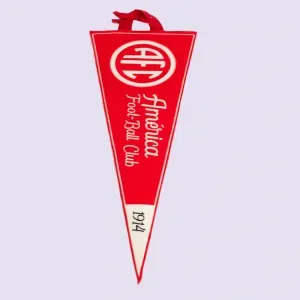 Flamula Triangular America